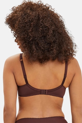 Soutien Arum - Castanho