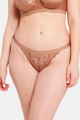 Tanga Arum Gloss - Rosa