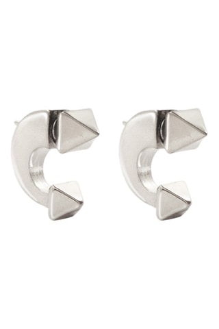 Brincos Eucalyptus - Banhado a prata