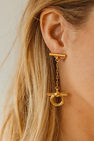 Brincos Ambar - Banhado a ouro amarelo