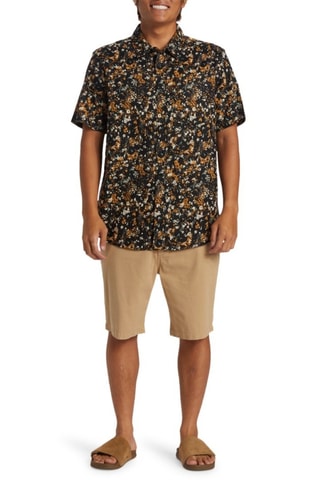 Overhemd Regular Fit - Bruin