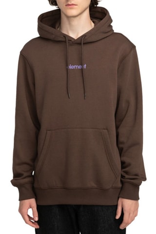 Sweater Regular Fit met Capuchon Element - Bruin