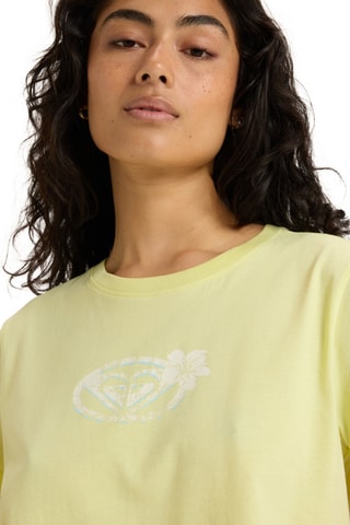 Biologisch Katoenen Cropped T-shirt- Pistachegroen