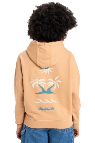 Biologisch Katoenen Sweater - Bruin