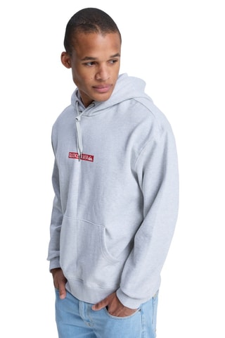 Sweater met Capuchon - Lichtgrijs