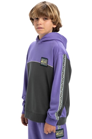 Sweat en coton biologique - Noir - Quiksilver