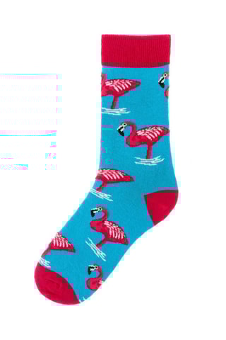 Chaussettes  - Blanc, noir, rouge et bleu