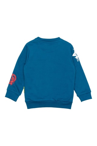 Sweater Blauw