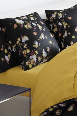 Lençol-capa em cetim de algodão 200 fios/cm² Aurore - Ocre