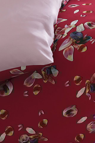 Conjunto de edredão em cetim de algodão 200 fios/cm² Aurore - Vermelho e rosa