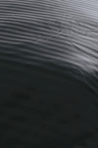 Conjunto de edredão em cetim de algodão 80 fios/cm² Dobby - Preto