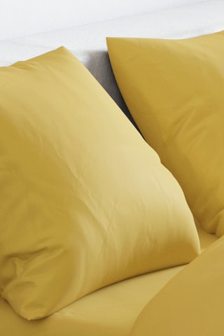 Conjunto de edredão em cetim de algodão 80 fios/cm² Liso - Ocre