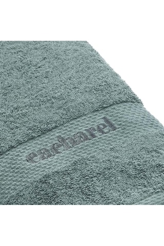 2 toalhas de mãos Verde - 50 x 100 cm