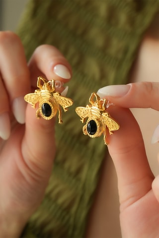 Puces - Lapis-lazulis