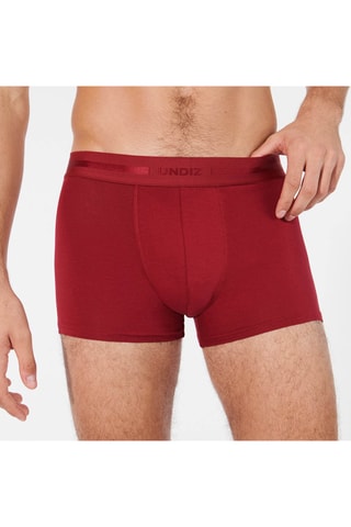 Boxer Geniusiz - Bordeauxrood