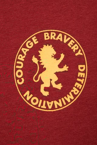 T-shirt Griffoendor Harry Potter Potteroniz - Bordeauxrood