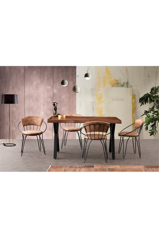 2 chaises - 60 x 50 x 76,5 cm