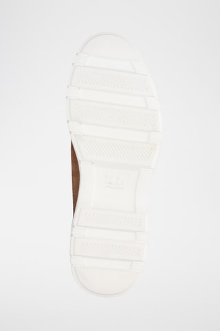 Nubuck Derby’s Denison- Beige