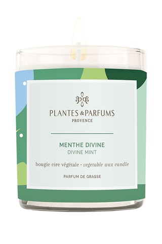 Bougie végétale parfumée 180 g -  Menthe Divine