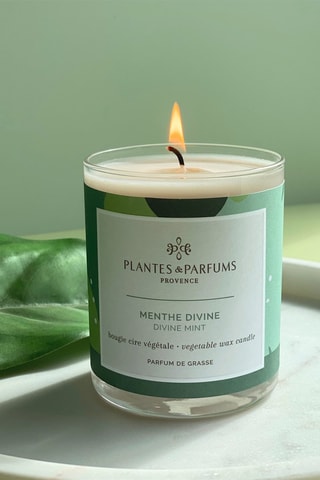 Bougie végétale parfumée 180 g -  Menthe Divine
