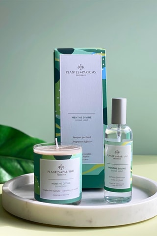 Bougie végétale parfumée 180 g -  Menthe Divine