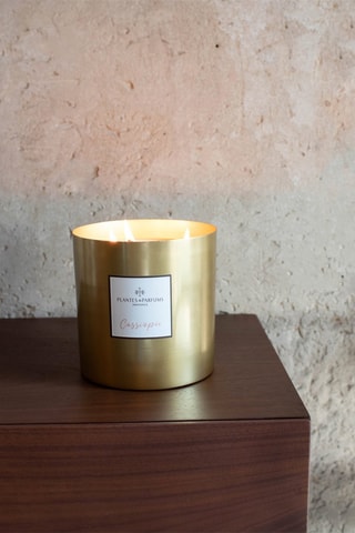 Bougie végétale parfumée 1000 g - Cassiopée