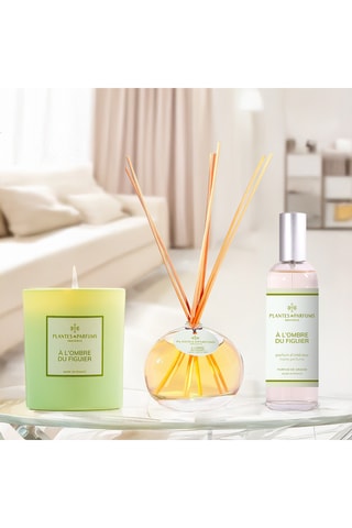 Ombre du figuier - Parfum d'intérieur 100 ml