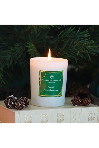Bougie naturelle parfumée Forêt enchantée
