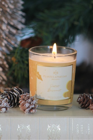 Bougie naturelle parfumée Petit Biscuit
