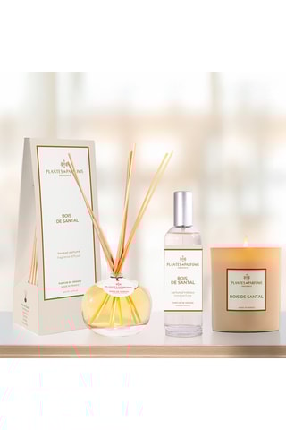 Bougie naturelle parfumée Bois de Santal