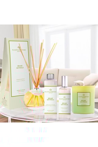 Bougie naturelle parfumée Brume matinale