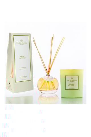 Bougie naturelle parfumée Brume matinale