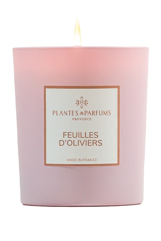 Bougie naturelle parfumée Feuilles d’Oliviers