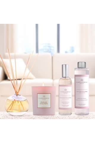 Bougie naturelle parfumée Feuilles d’Oliviers