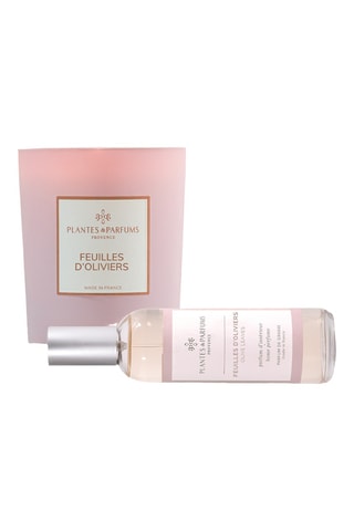Bougie naturelle parfumée Feuilles d’Oliviers