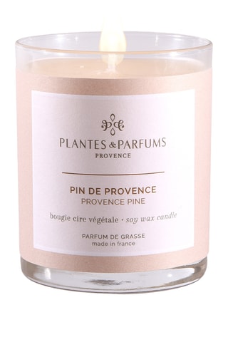 Bougie naturelle parfumée Pin de Provence