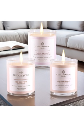 Bougie naturelle parfumée Pin de Provence