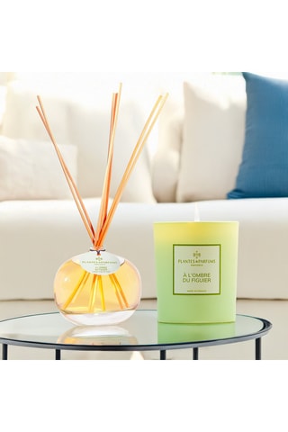 Bouquet parfumé A l’ombre du figuier - 100 ml