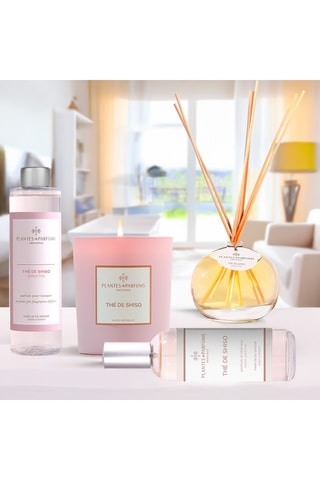 Bouquets parfumés Thé de shiso - 100 ml