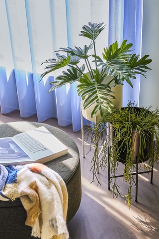 2 cachepôs Airy - 45 e 55 cm - Dourado