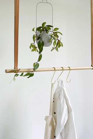 2 vasos suspensos Lótus - Cinzento-claro