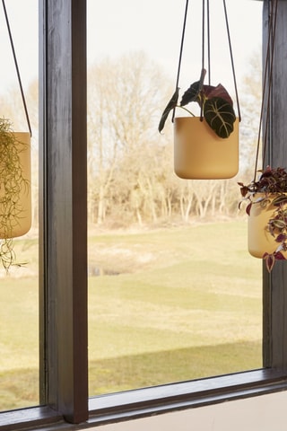 3 vasos suspensos Bloom - Bege e castanho