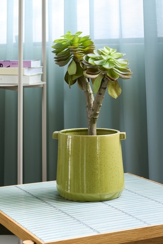 2 jarros de cerâmica Vibe - 17 e 22 cm - Verde