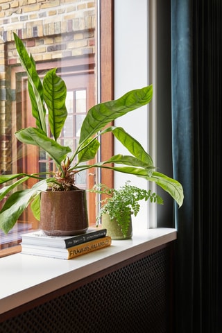 2 jarros de cerâmica Vibe - 17 e 22 cm - Verde