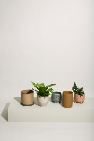 2 jarros de cerâmica Edna - 14 e 18 cm - Castanho