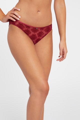 Culotte Alixa - Bordeaux