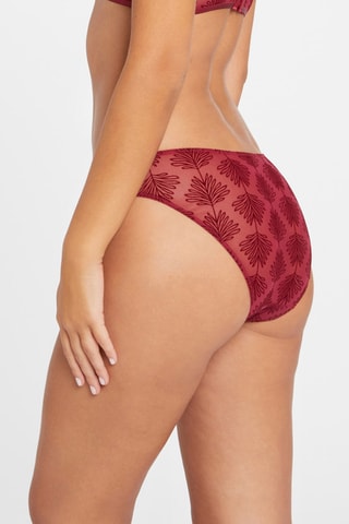 Culotte Alixa - Bordeaux