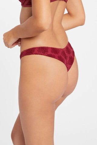 Tanga Alixa - Bordeaux