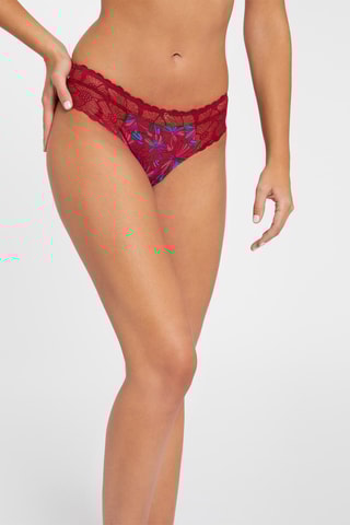 Shorty Alma - Bordeaux