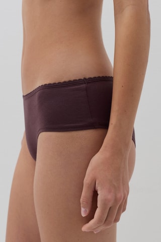 3 Biologisch Katoenen Slips - Marineblauw en Bruin